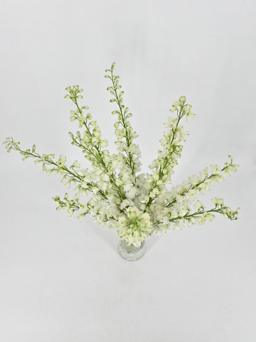 Crystal Delphinium