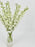 Crystal Delphinium