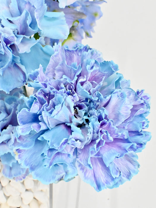 Dusty Blue