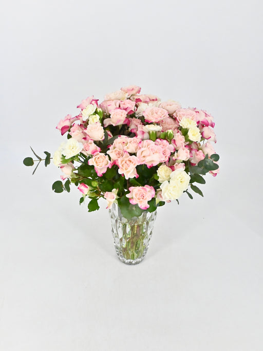 Spray Roses Reflex