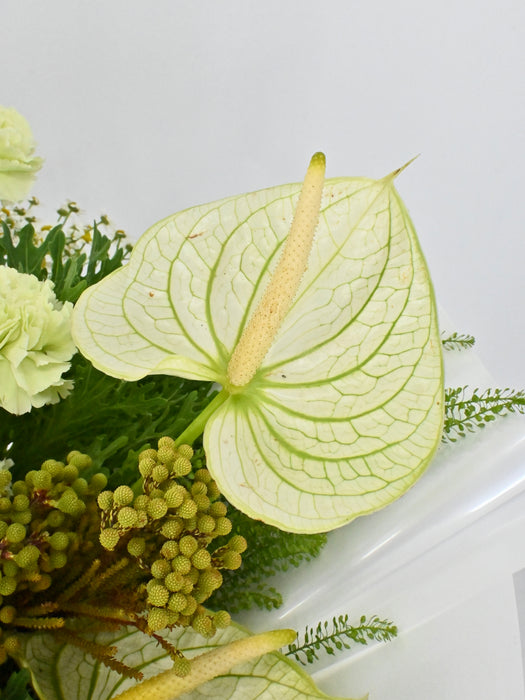 Chartreuse