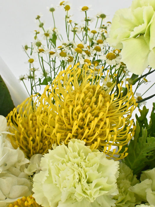 Chartreuse