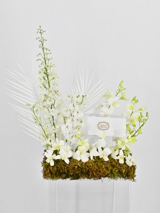 Dendrobium Garden