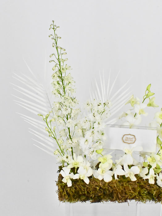 Dendrobium Garden