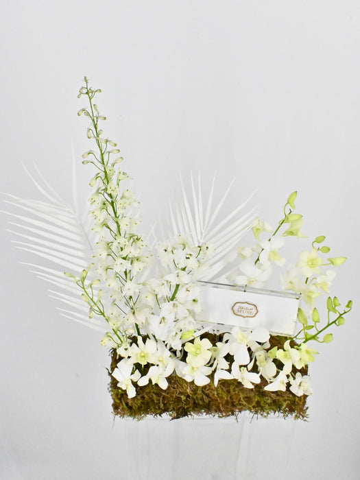 Dendrobium Garden