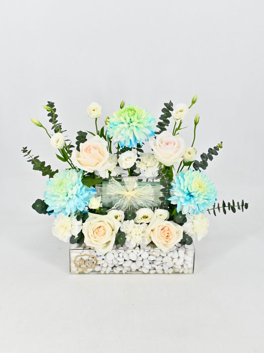 Ice Blue Money Garden