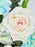 Ice Blue Money Garden