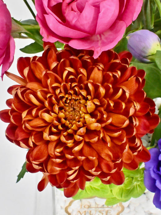Chesnut Bloom