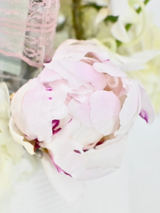 Peonia Alertie
