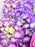 Chrys Santi Bouquet