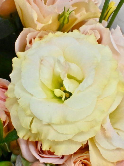 Peachy Bouquet