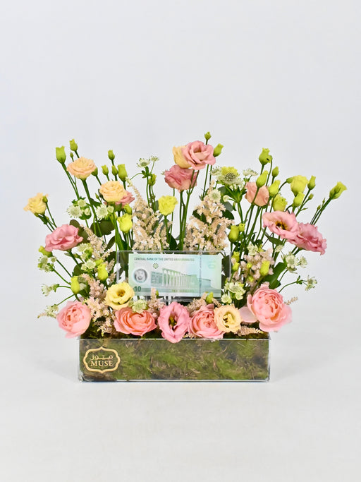 Briana Money Garden