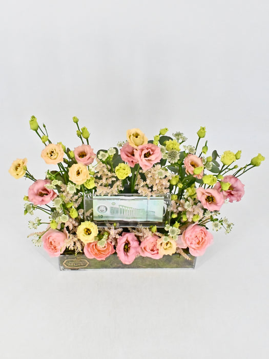 Briana Money Garden