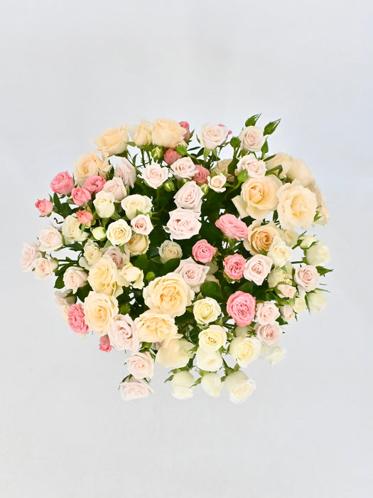 Spray Roses Bloom