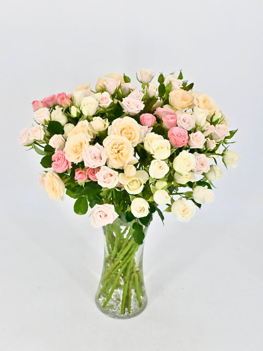 Spray Roses Bloom