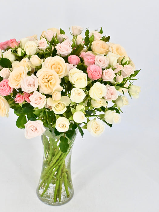 Spray Roses Bloom