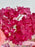 Sweet Money Garden