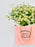 Bouquet of Tana