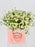 Bouquet of Tana