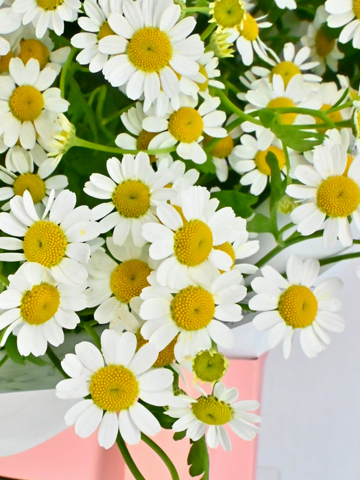Bouquet of Tana