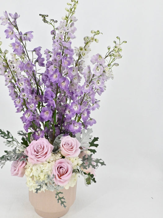 Delphinium Fountain