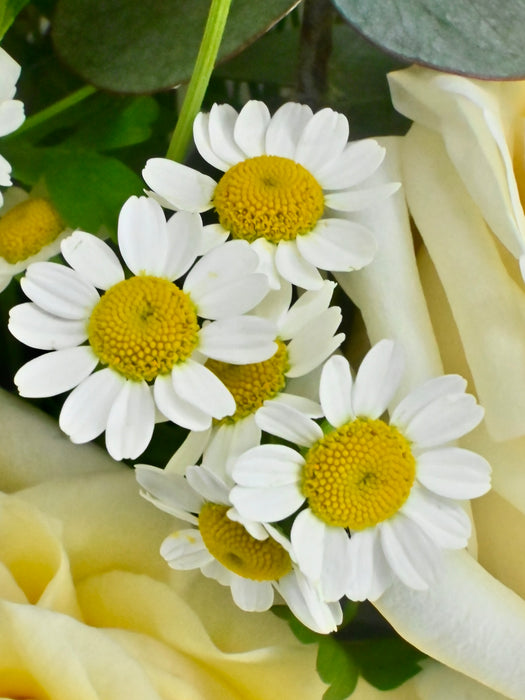 Candlelight Bouquet