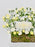 Garden of Simplicity