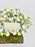 Garden of Simplicity
