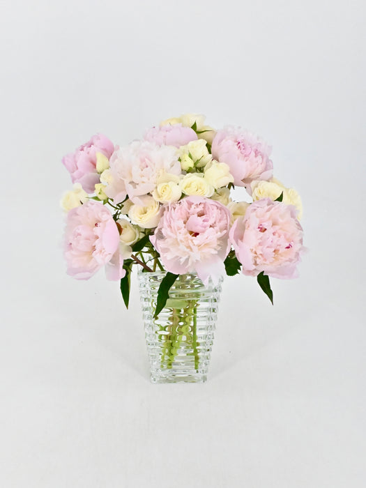 Peonies Bloom