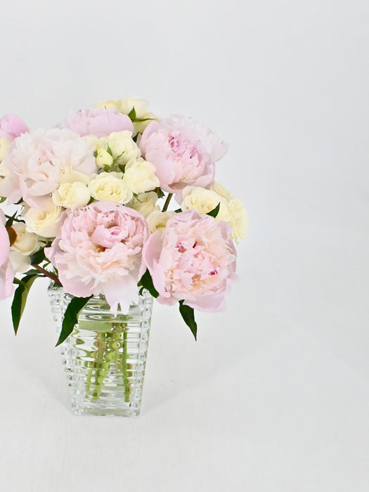 Peonies Bloom
