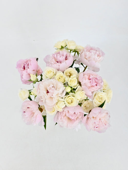 Peonies Bloom