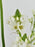 Munnar White