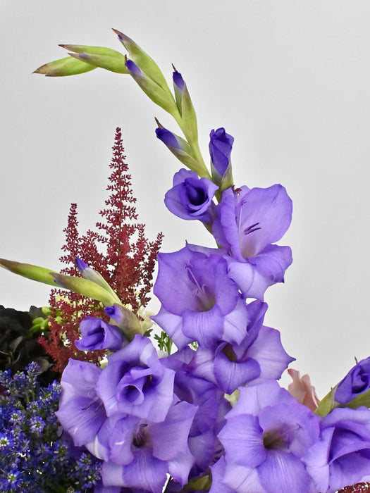 Luxe Garden