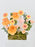 Bolero Money Arrangement