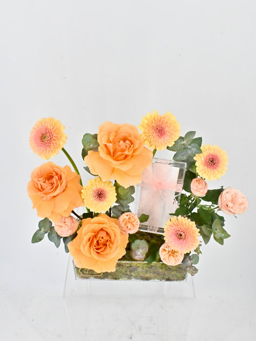 Bolero Money Arrangement