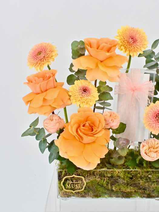 Bolero Money Arrangement