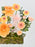 Bolero Money Arrangement