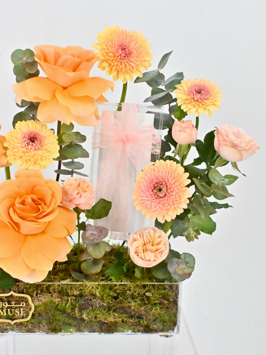 Bolero Money Arrangement