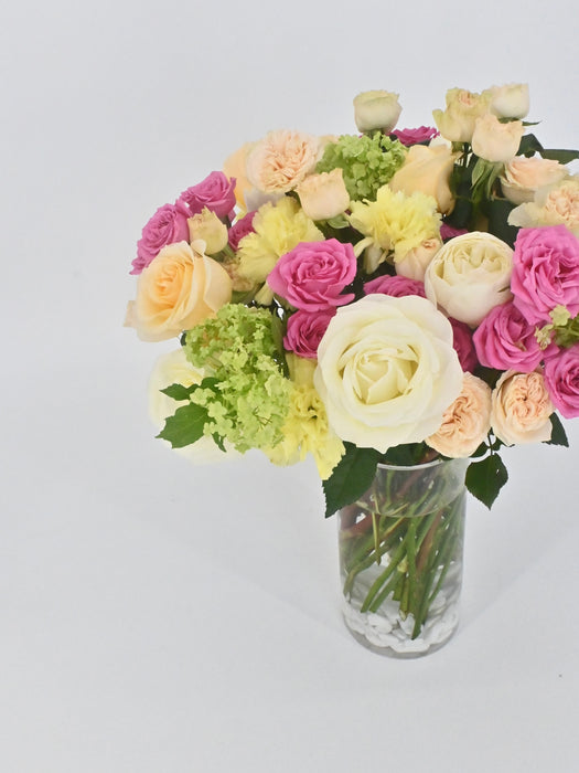 Pastel Vibrant