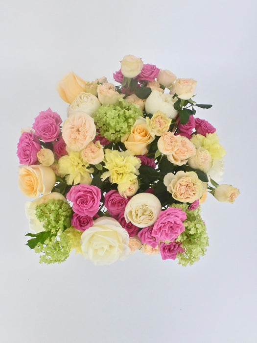 Pastel Vibrant