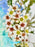 Sky Money Garden