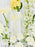 Jayjay Matty Money Garden