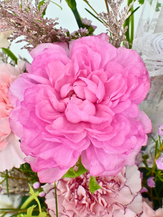 Pinkish Money Arrangement
