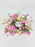 Pinkish Money Arrangement