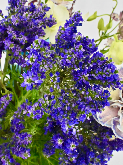 Garden Basket