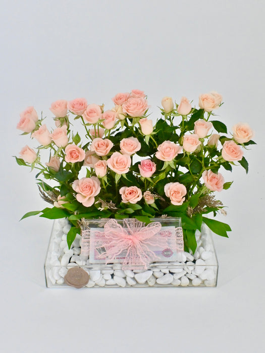 Sweet Sara Money Arrangement