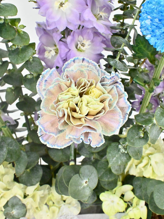 Periwinkle