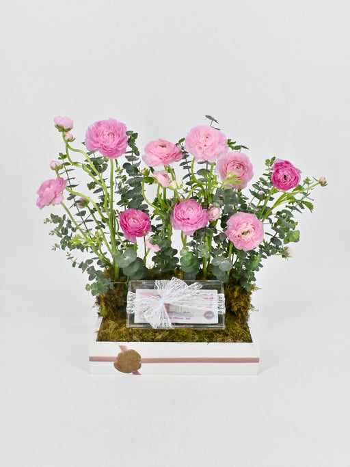 Ranunculus Garden