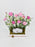Ranunculus Garden