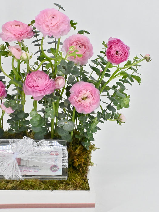 Ranunculus Garden